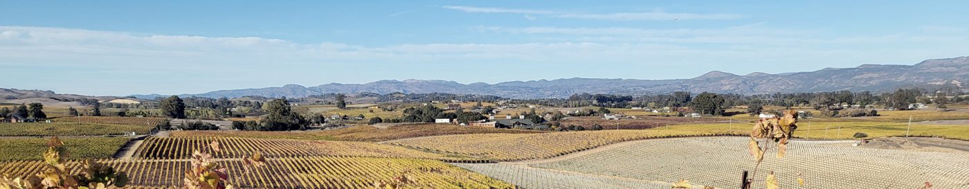 Napa vineyards in autumn